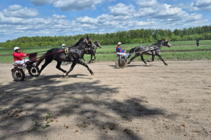 Торжественное открытие конноспортивных соревнований в с.Чесменка